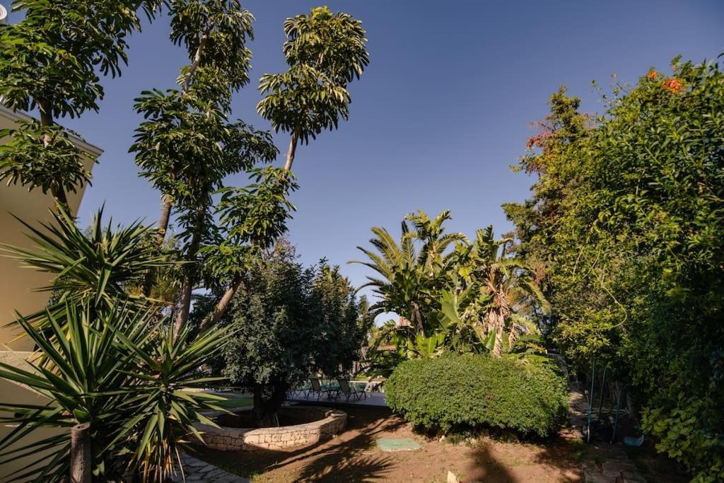 Villa Elmar Aegina Zewnętrze zdjęcie